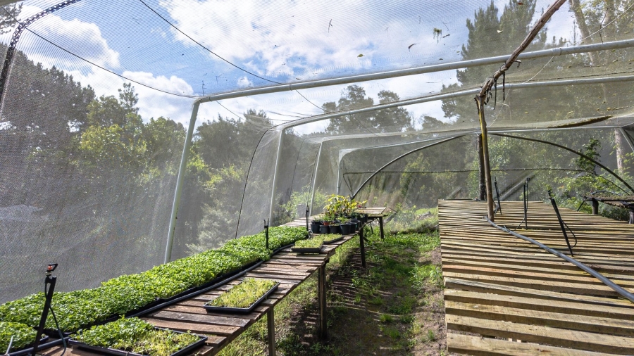 Commercial Property for Sale in Sedgefield Rural Western Cape